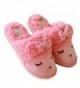 MiYang Winter Womens Indoor Slipper