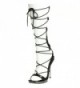 Pleaser Womens Chic 60 Black Clear