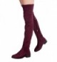 OLIVIA Womens Thigh Suede Boots