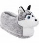 Silver Lilly Siberian Husky Slippers