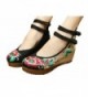 AvaCostume Embroidery Strappy Platform Cheongsam