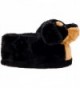 Fashion Slippers for Women Online