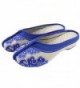 AvaCostume Womens Porcelain Slippers Chinese