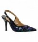 Chinaetta Pointed Slingback Iridescent Diamond