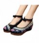 AvaCostume Beijing Embroidery Sandals Comfortable